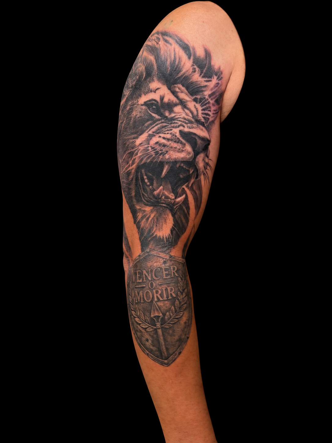 Black and grey lion and shield tattoo by Dave