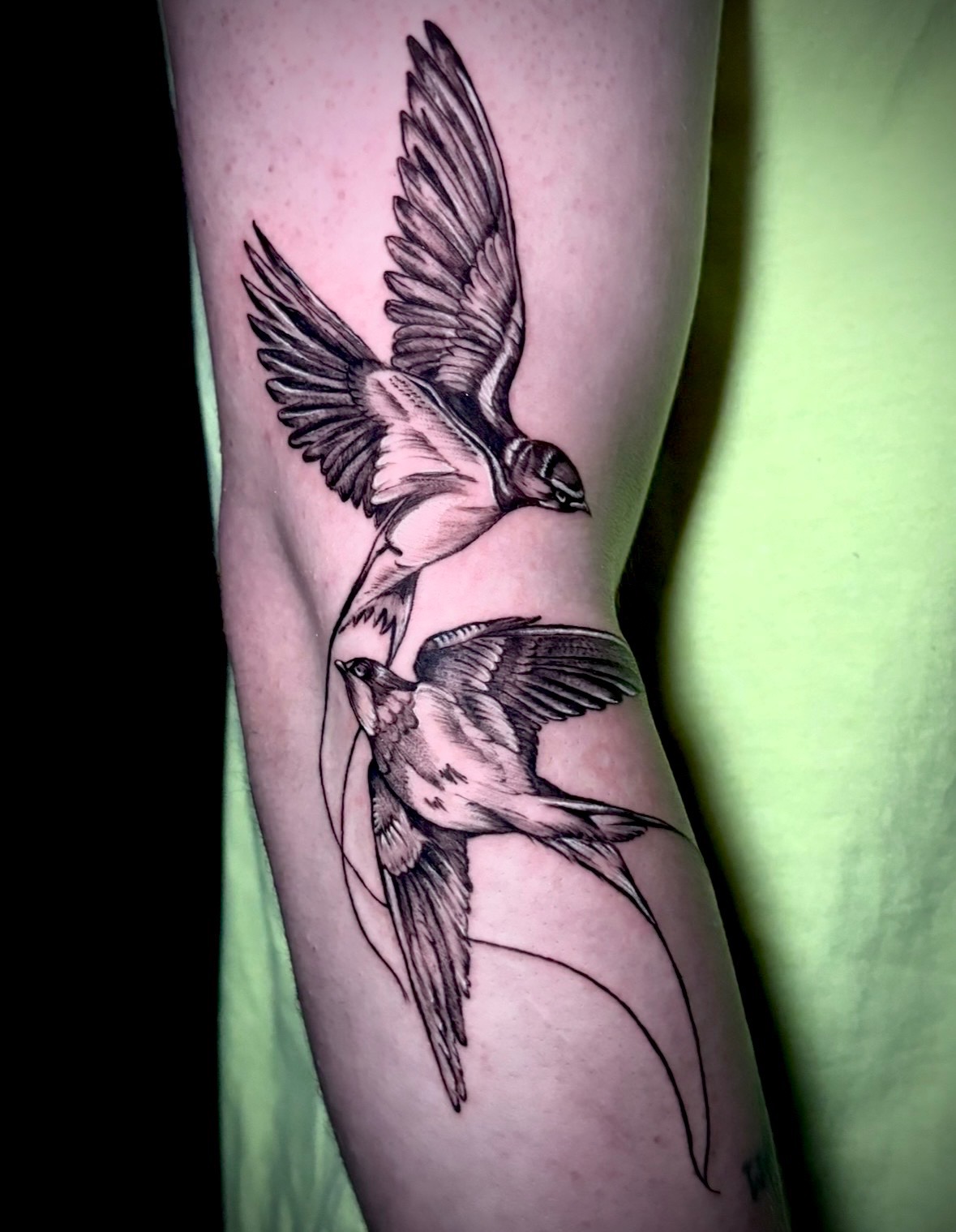 Black and grey swallows tattoo by Amethyst
