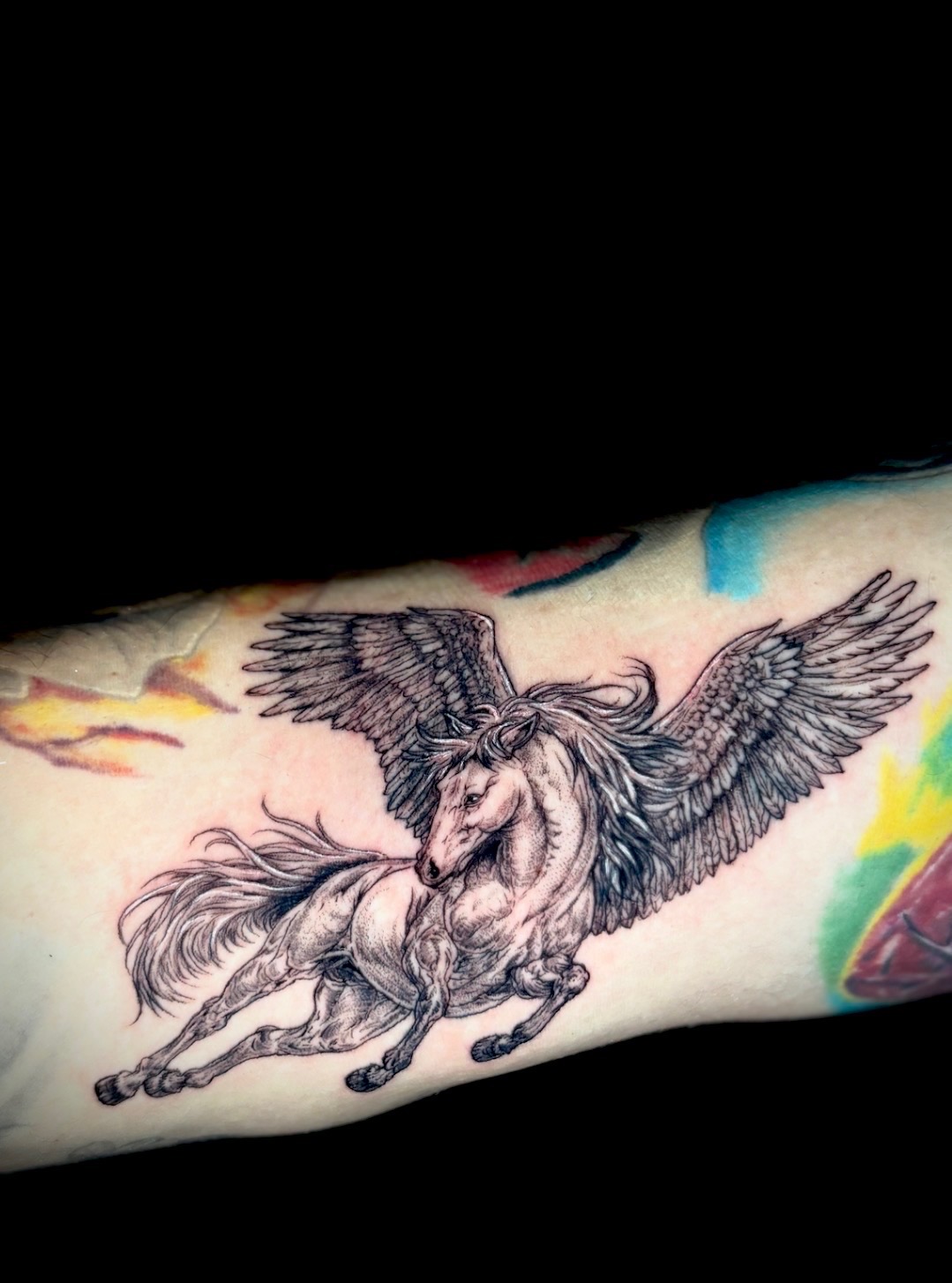 Black and grey Pegasus tattoo by Amethyst